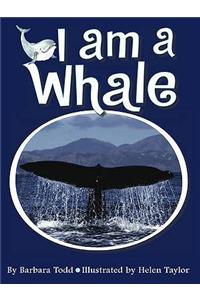 I am a Whale