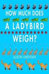 How Much Does a Ladybird Weigh?