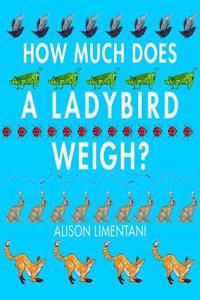 How Much Does a Ladybird Weigh?