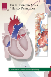Illustrated Atlas of Human Physiology