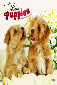 Puppies, I Love 2023 Square Foil