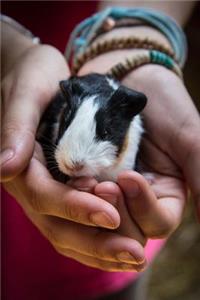 Holding a Tiny Cute Guinea Pig Journal