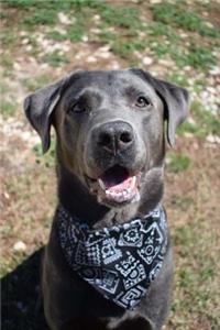 Happy Lab Mix Dog with a Bandana Journal