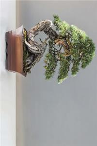 Pine Tree Bonsai with Cones Journal