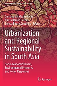 Urbanization and Regional Sustainability in South Asia