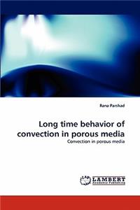 Long Time Behavior of Convection in Porous Media