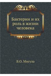 Бактерии и их роль в жизни человека