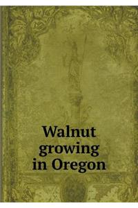 Walnut Growing in Oregon