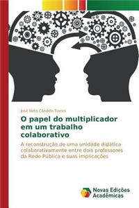 O papel do multiplicador em um trabalho colaborativo