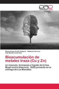 Bioacumulación de metales traza (Cu y Zn)