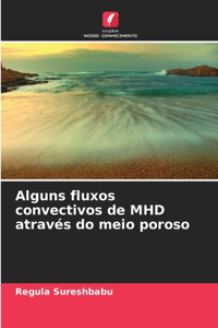 Alguns fluxos convectivos de MHD através do meio poroso