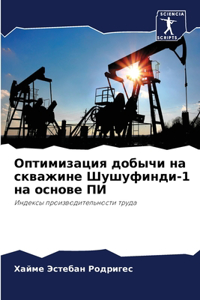 Оптимизация добычи на скважине Шушуфинди