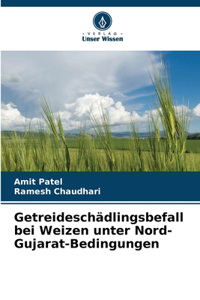 Getreideschädlingsbefall bei Weizen unter Nord-Gujarat-Bedingungen