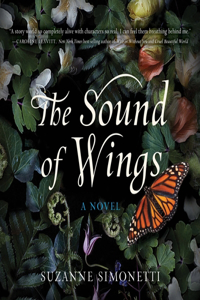 Sound of Wings