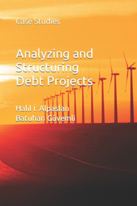 Analyzing and Structuring Debt Projects