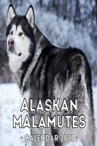 Alaskan Malamutes