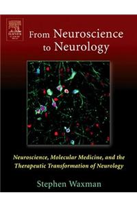 From Neuroscience to Neurology