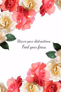 Starve your distractions feed your focus