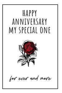 Happy Anniversary My Special One