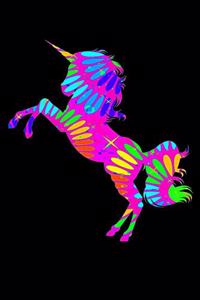 Rainbow Unicorn