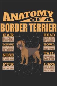 Anatomy Of A Border Terrier