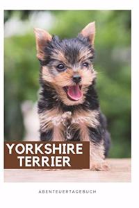 Yorkshire Terrier AbenteuerTagebuch