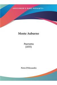 Monte Auburno