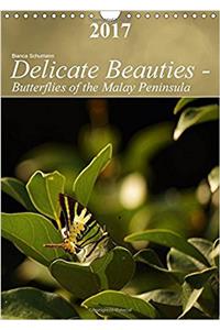 Delicate Beauties - Butterflies of the Malay Peninsula 2017