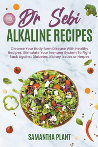 Dr Sebi Alkaline Recipes