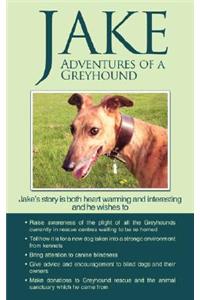 Jake Adventures of a Greyhound