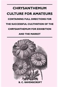 Chrysanthemum Culture For Amateurs