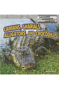 Caimans, Gharials, Alligators, and Crocodiles