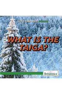 What Is the Taiga?