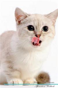 Munchkin Cat Affirmations Workbook Munchkin Cat Presents