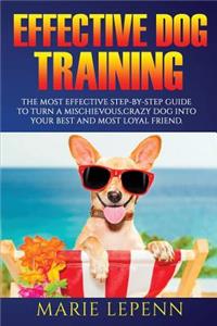 Effective Dog Training