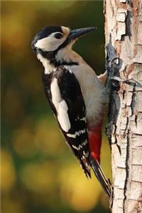 Woodpecker Bird Journal