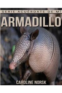 Armadillo