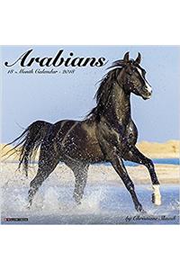 Arabians 2018 Calendar