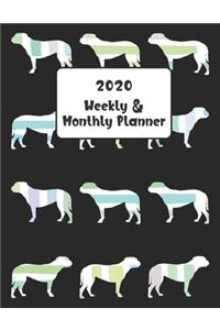 2020 Weekly & Monthly Planner