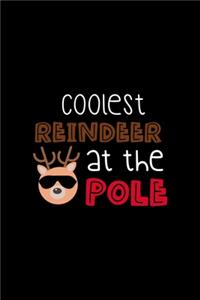 Coolest Reindeer At The Pole