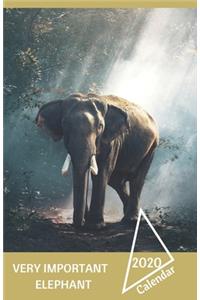 Very Important Elephant