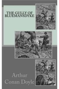 The Gully of Bluemansdyke