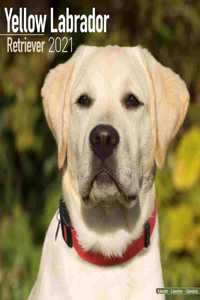 Yellow Labrador Retriever 2021 Wall Calendar