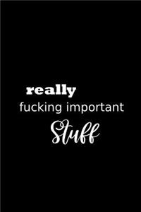 2019 Daily Planner Funny Theme Really Fucking Important Stuff 384 Pages