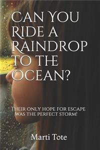 Can You Ride a Raindrop to the Ocean?