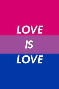 Love Is Love.