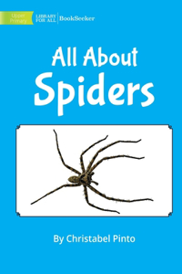 All About Spiders