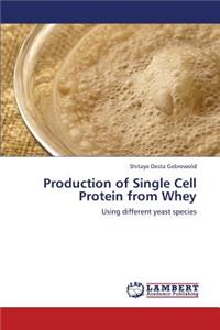 Production of Single Cell Protein from Whey