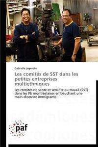 Les Comités de Sst Dans Les Petites Entreprises Multiethniques