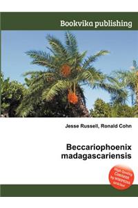 Beccariophoenix Madagascariensis